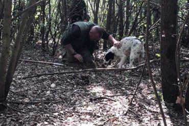 Truffle hunting experience in Tuscany