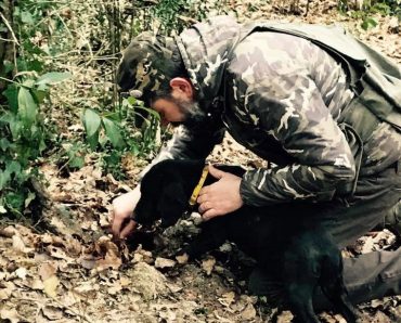 truffle hunter dog